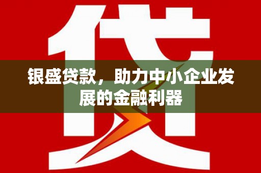 蒙阴银盛贷款，助力中小企业发展的金融利器
