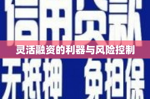 蒙阴灵活融资的利器与风险控制