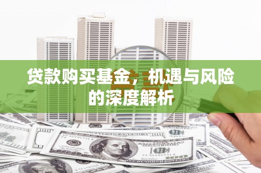 蒙阴贷款购买基金，机遇与风险的深度解析
