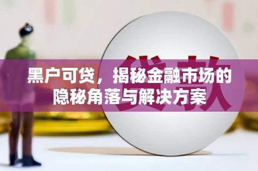蒙阴黑户可贷，揭秘金融市场的隐秘角落与解决方案