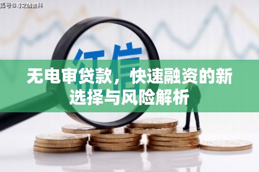 蒙阴无电审贷款，快速融资的新选择与风险解析
