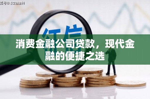 蒙阴消费金融公司贷款，现代金融的便捷之选