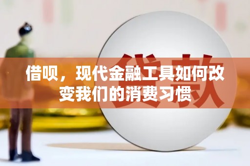 蒙阴借呗，现代金融工具如何改变我们的消费习惯