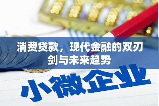 蒙阴消费贷款，现代金融的双刃剑与未来趋势