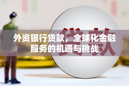 蒙阴外资银行贷款，全球化金融服务的机遇与挑战