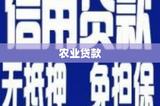 蒙阴农业贷款