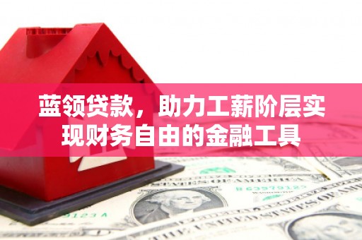 蒙阴蓝领贷款，助力工薪阶层实现财务自由的金融工具