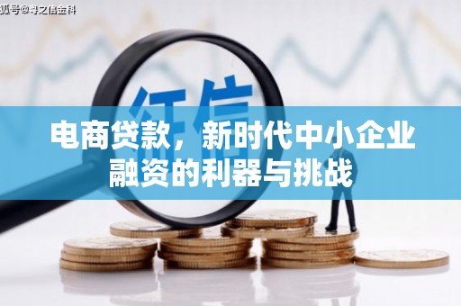 蒙阴电商贷款，新时代中小企业融资的利器与挑战