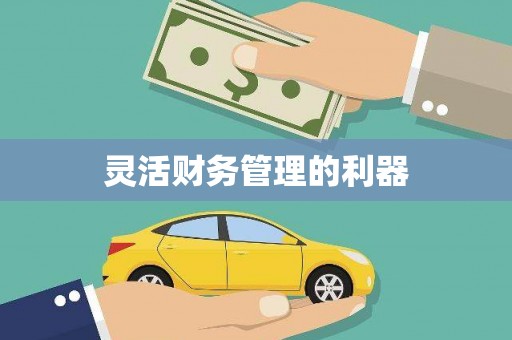 蒙阴灵活财务管理的利器