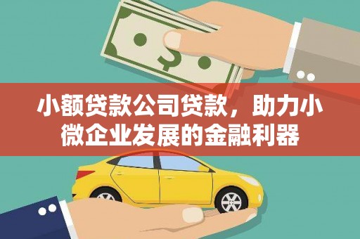 蒙阴小额贷款公司贷款，助力小微企业发展的金融利器