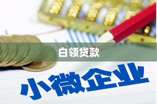 蒙阴白领贷款