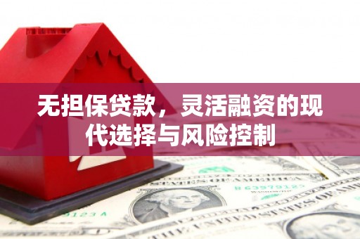 蒙阴无担保贷款，灵活融资的现代选择与风险控制