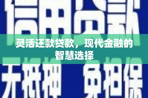 蒙阴灵活还款贷款，现代金融的智慧选择