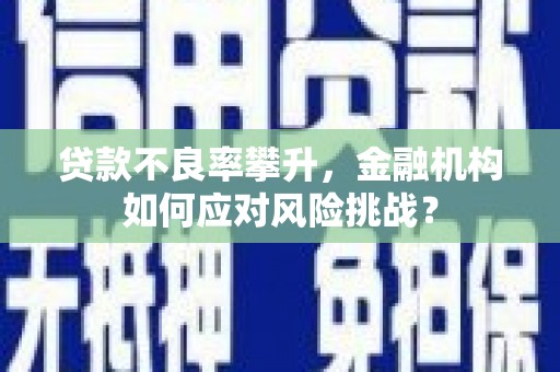 蒙阴贷款不良率攀升，金融机构如何应对风险挑战？