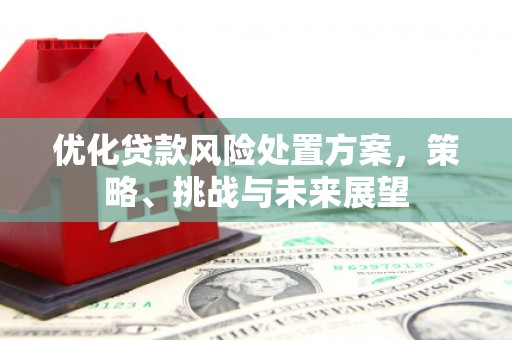 蒙阴优化贷款风险处置方案，策略、挑战与未来展望