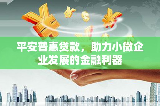 蒙阴平安普惠贷款，助力小微企业发展的金融利器