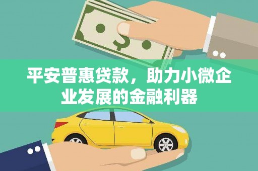 蒙阴平安普惠贷款，助力小微企业发展的金融利器