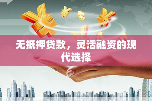 蒙阴无抵押贷款，灵活融资的现代选择