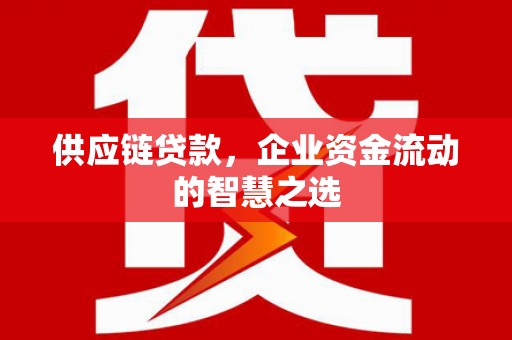 蒙阴供应链贷款，企业资金流动的智慧之选