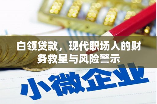 蒙阴白领贷款，现代职场人的财务救星与风险警示