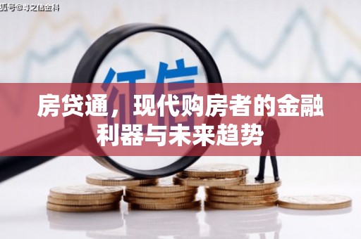 蒙阴房贷通，现代购房者的金融利器与未来趋势