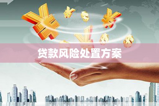 蒙阴贷款风险处置方案
