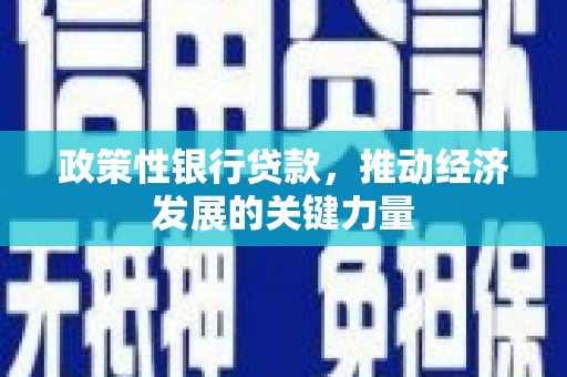 蒙阴政策性银行贷款，推动经济发展的关键力量