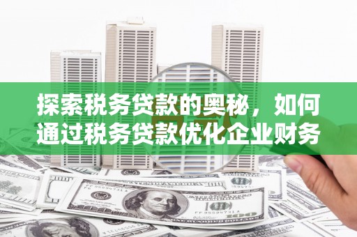 蒙阴探索税务贷款的奥秘，如何通过税务贷款优化企业财务