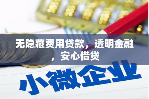 蒙阴无隐藏费用贷款，透明金融，安心借贷