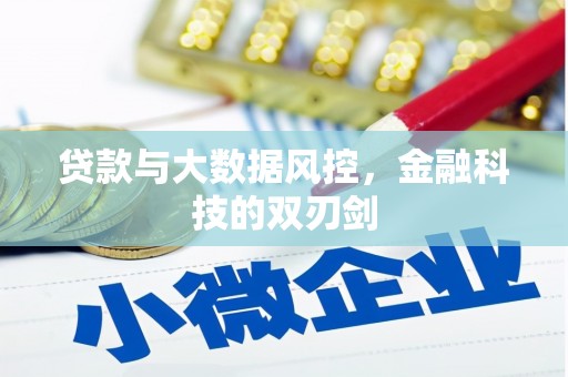 蒙阴贷款与大数据风控，金融科技的双刃剑