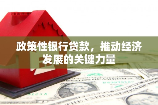 蒙阴政策性银行贷款，推动经济发展的关键力量
