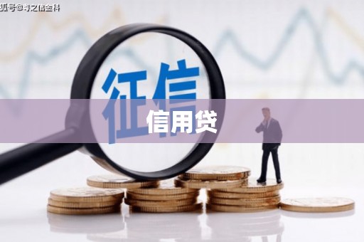蒙阴信用贷