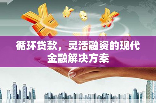 蒙阴循环贷款，灵活融资的现代金融解决方案
