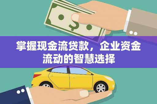 蒙阴掌握现金流贷款，企业资金流动的智慧选择