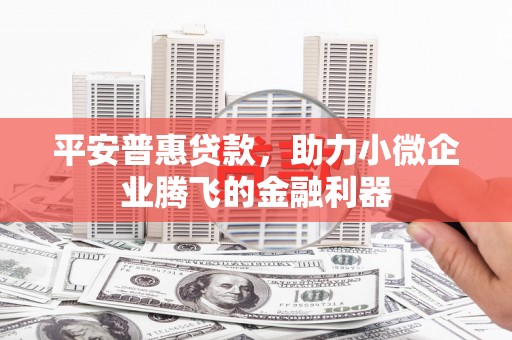 蒙阴平安普惠贷款，助力小微企业腾飞的金融利器