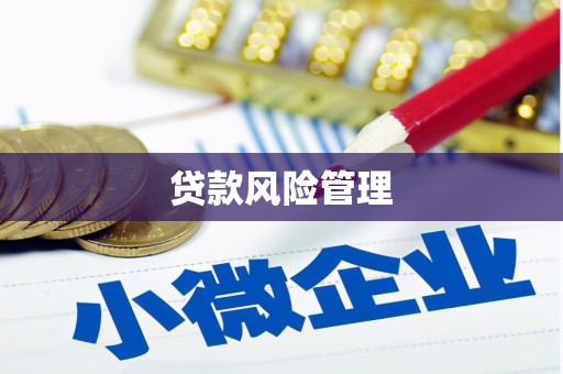 蒙阴贷款风险管理