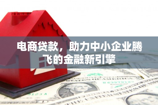 蒙阴电商贷款，助力中小企业腾飞的金融新引擎
