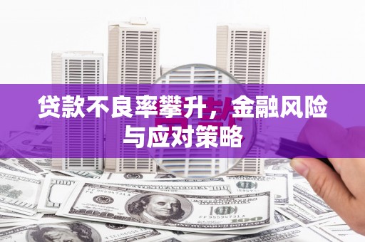 蒙阴贷款不良率攀升，金融风险与应对策略