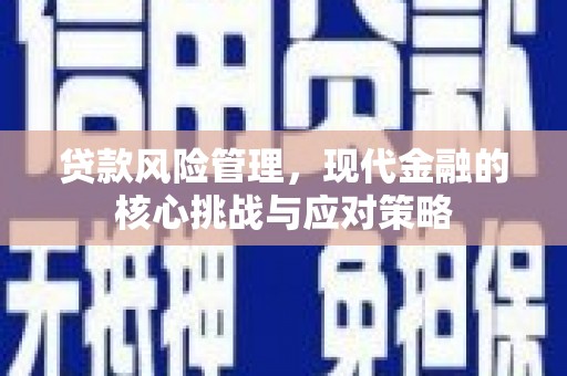 蒙阴贷款风险管理，现代金融的核心挑战与应对策略