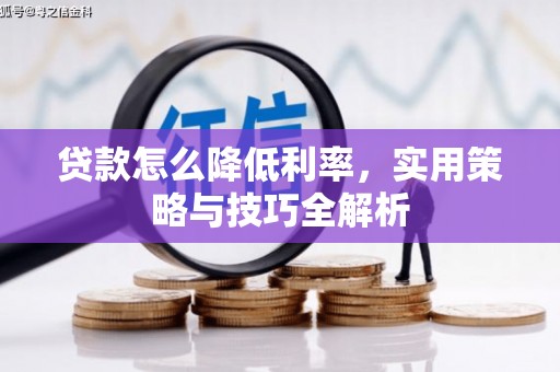 蒙阴贷款怎么降低利率，实用策略与技巧全解析