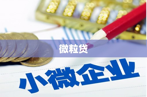 蒙阴微粒贷