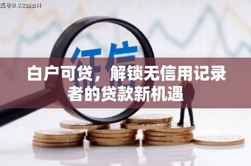 蒙阴白户可贷，解锁无信用记录者的贷款新机遇