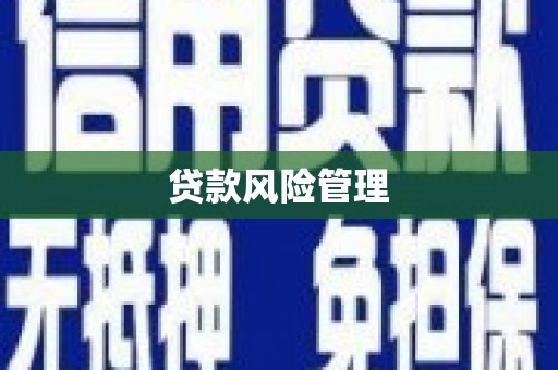 蒙阴贷款风险管理