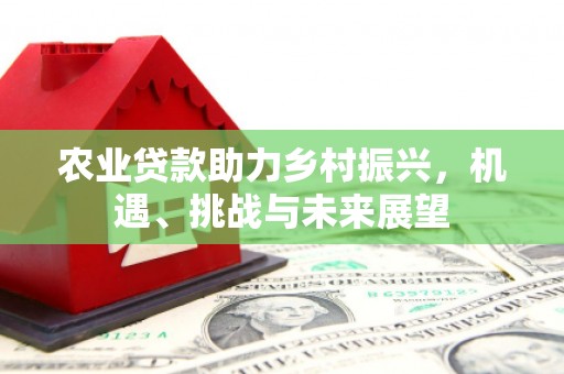 蒙阴农业贷款助力乡村振兴，机遇、挑战与未来展望