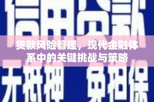 蒙阴贷款风险管理，现代金融体系中的关键挑战与策略