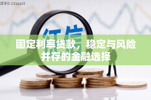 蒙阴固定利率贷款，稳定与风险并存的金融选择