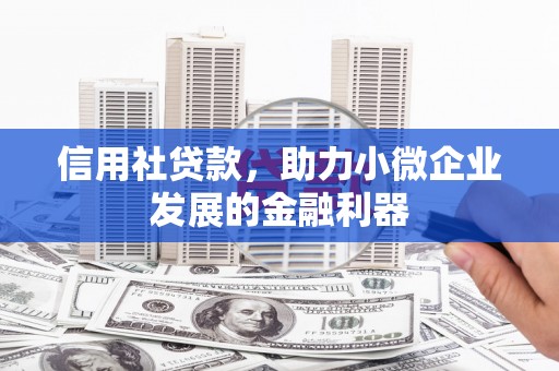 蒙阴信用社贷款，助力小微企业发展的金融利器