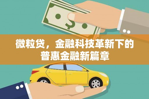 蒙阴微粒贷，金融科技革新下的普惠金融新篇章