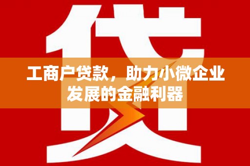 蒙阴工商户贷款，助力小微企业发展的金融利器