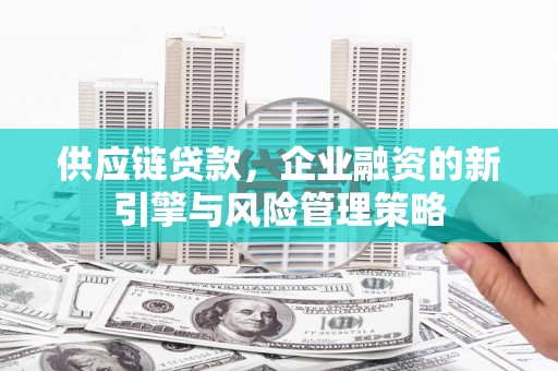 蒙阴供应链贷款，企业融资的新引擎与风险管理策略